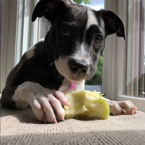 Meet your Posher, Sabrina